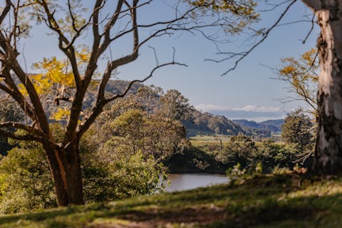The River
