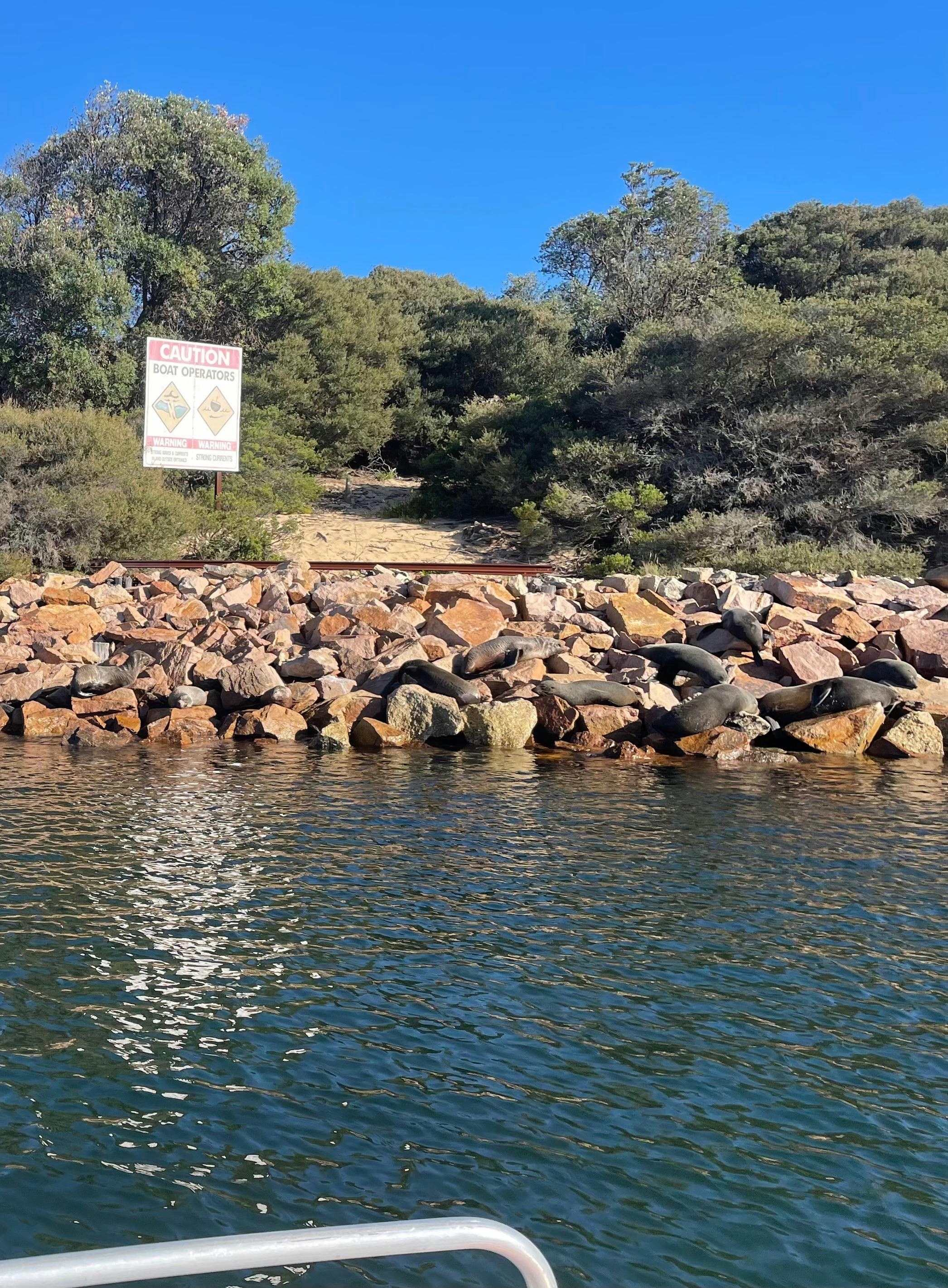 Lakes Explorer Wildlife Boat Tours