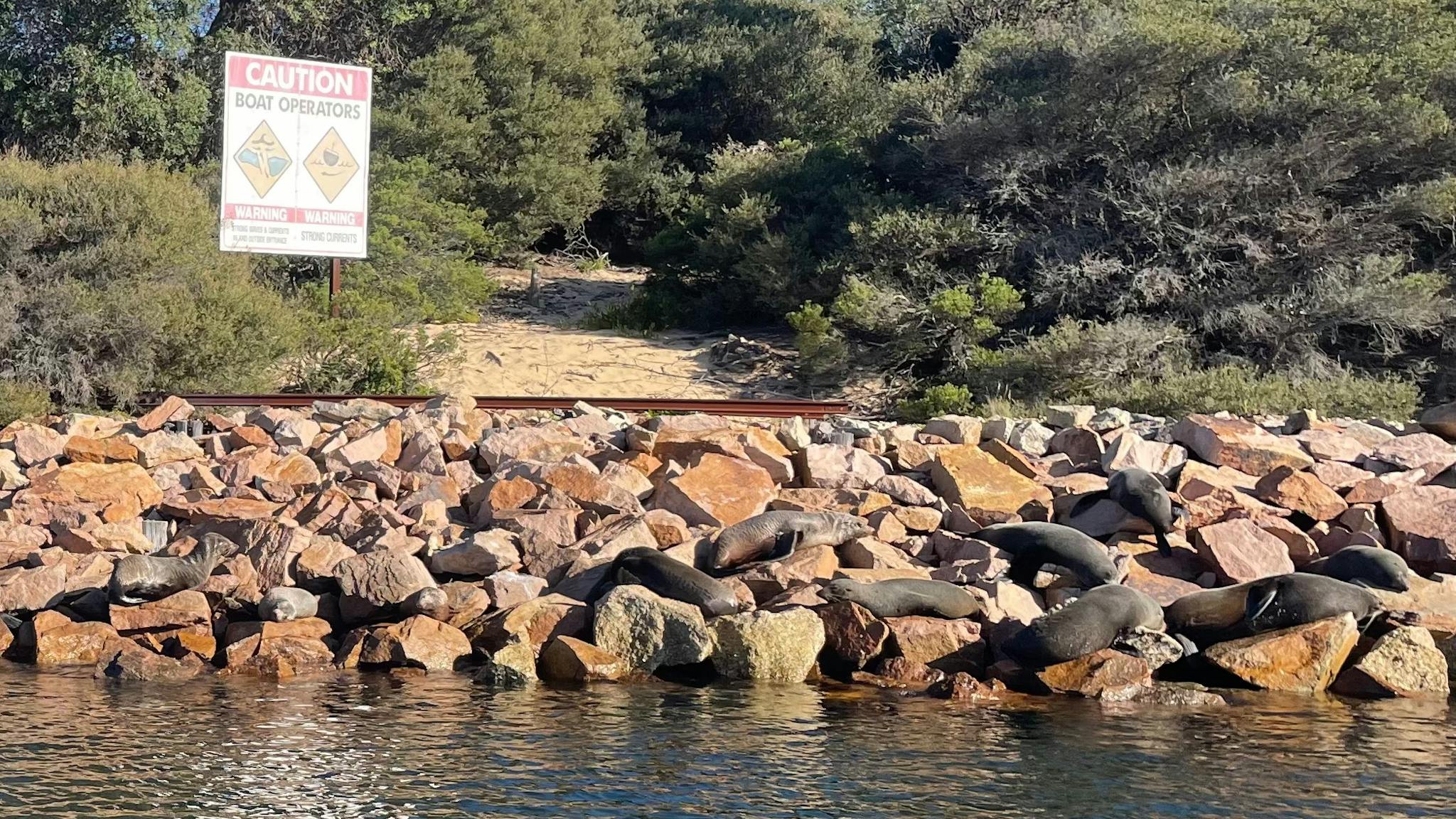 Seals