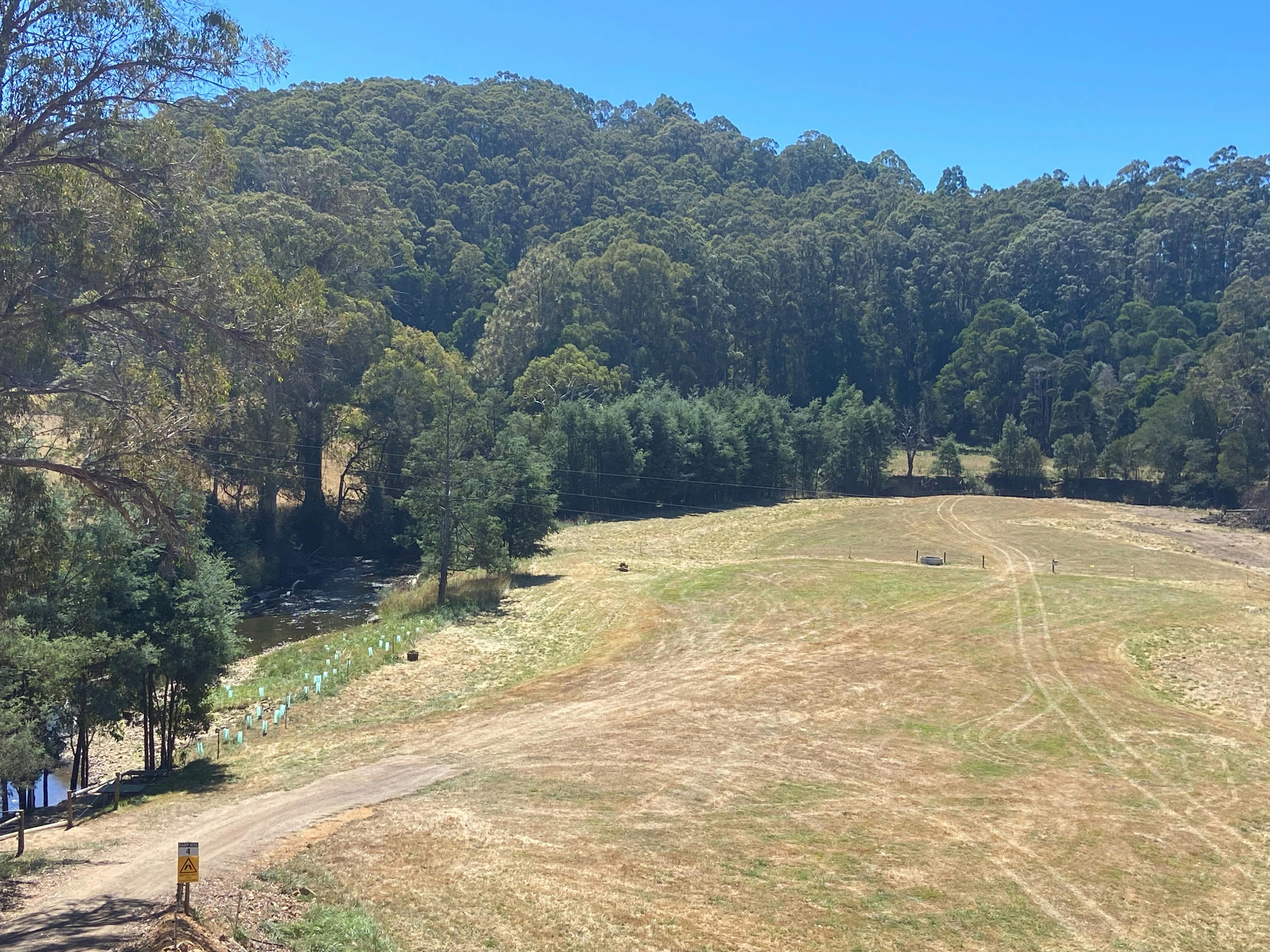 Paddock 4 by the river