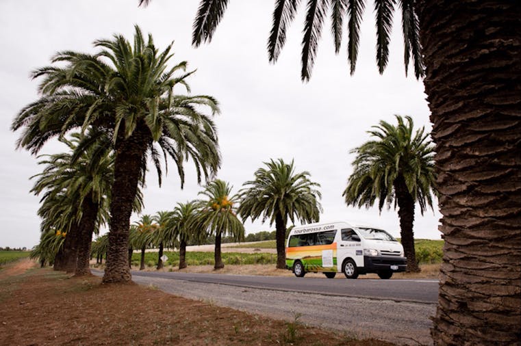 Barossa Valley Highlights tour