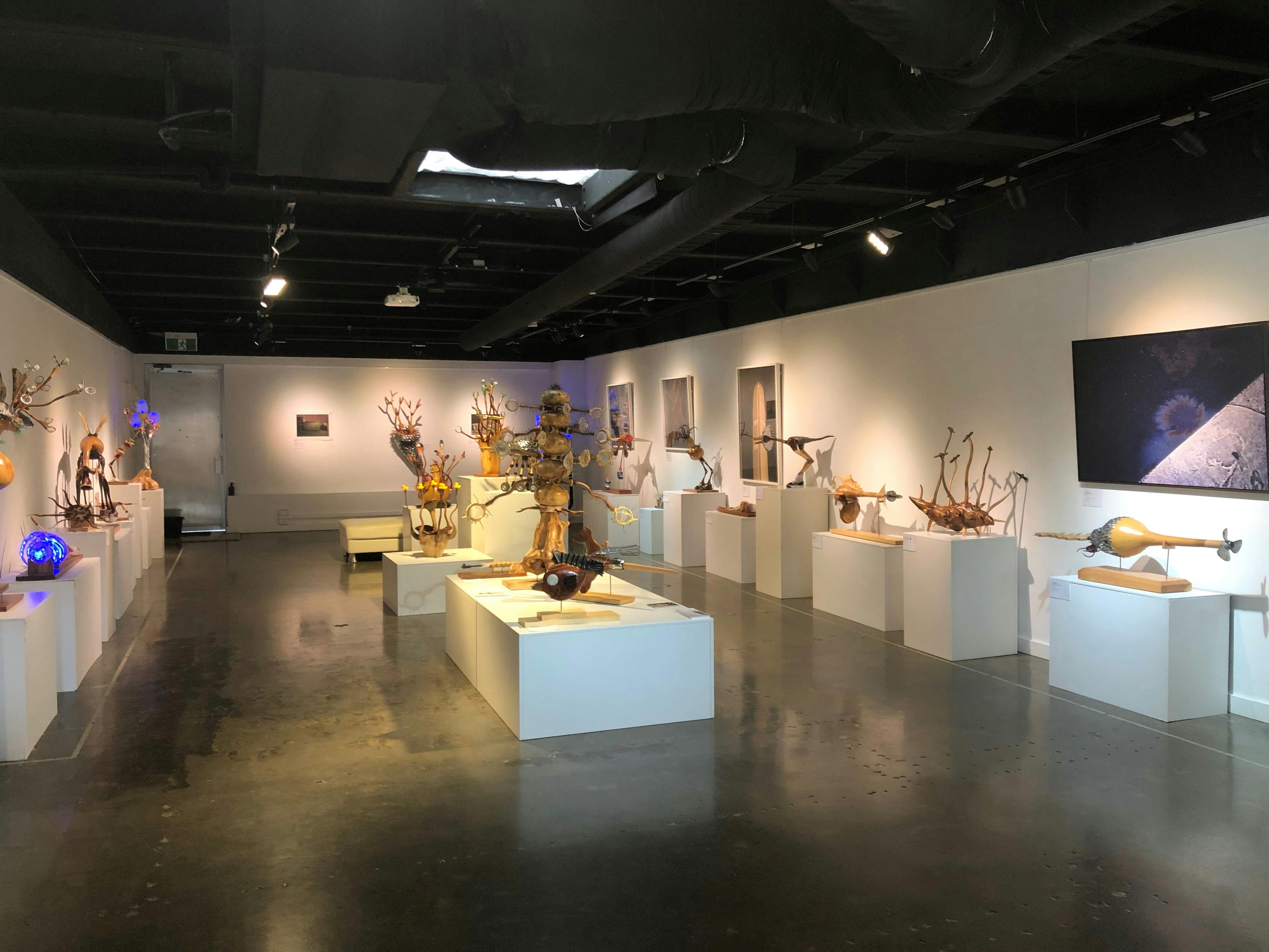 YAVA Gallery & Arts Hub