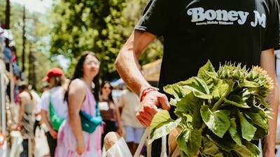 A peson holding a hessian Haig Park Village Market bag filled with bread and produce