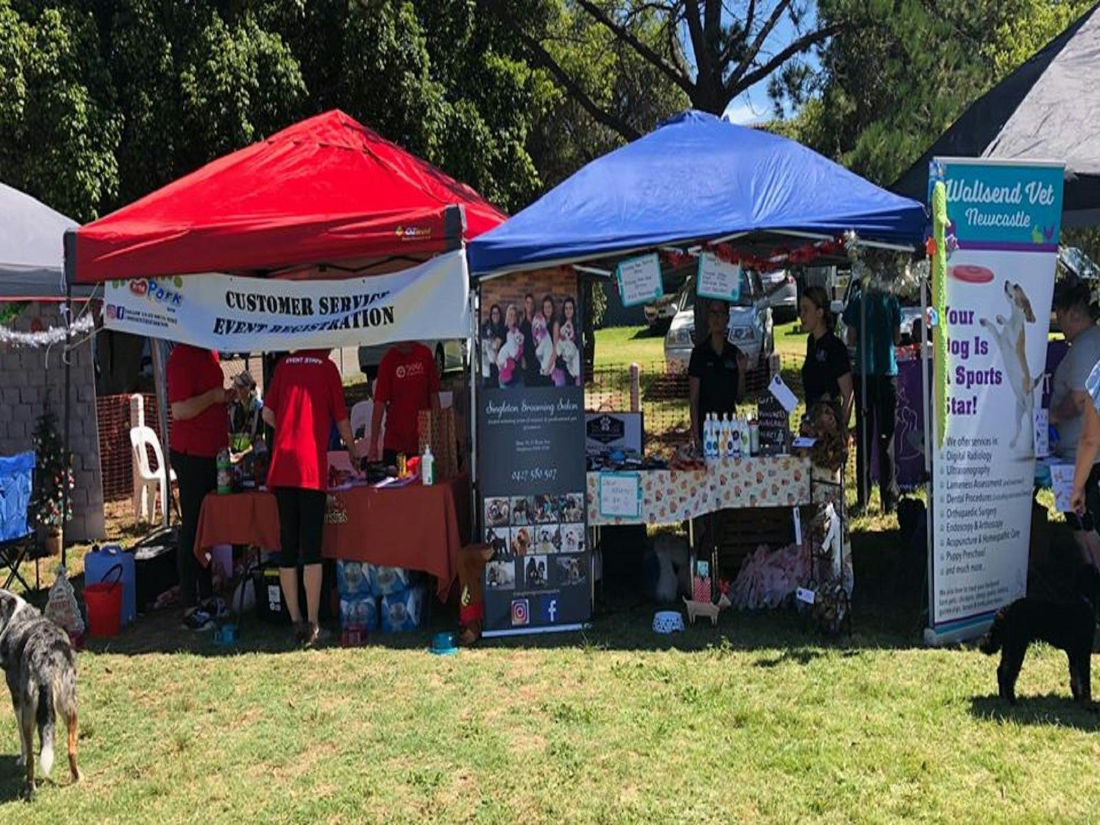 Image for Dogs in the Park Penrith