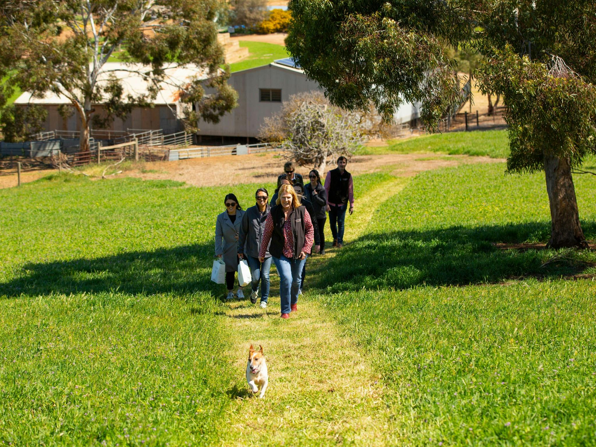 Walk, Taste, Graze