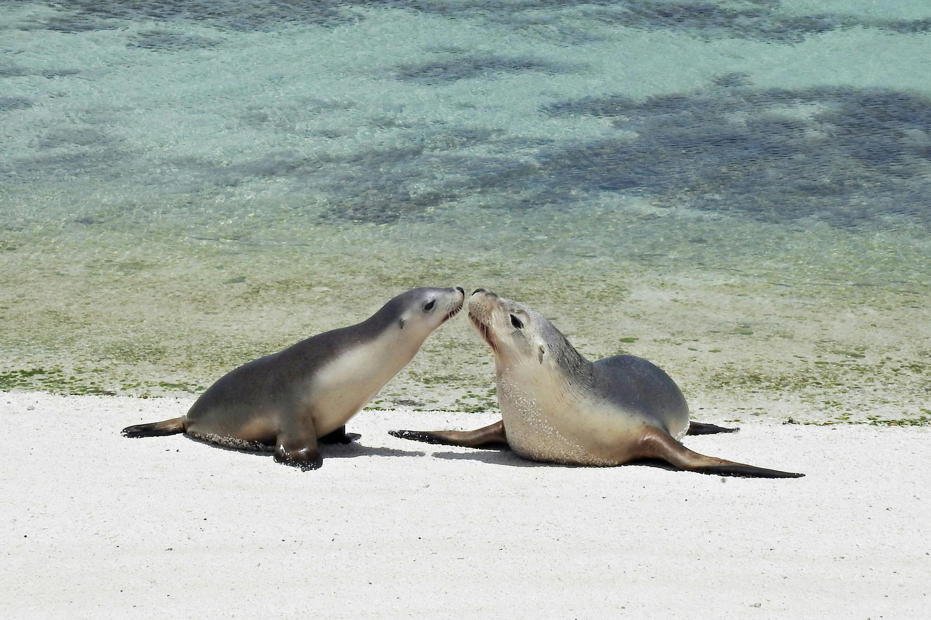 Abrolhos Islands