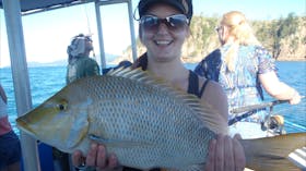 Nice catch!
