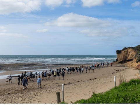 Whalebone 41 3376f078b2cf59aecbb569adc982dc89