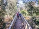 Yea Wetlands Walk