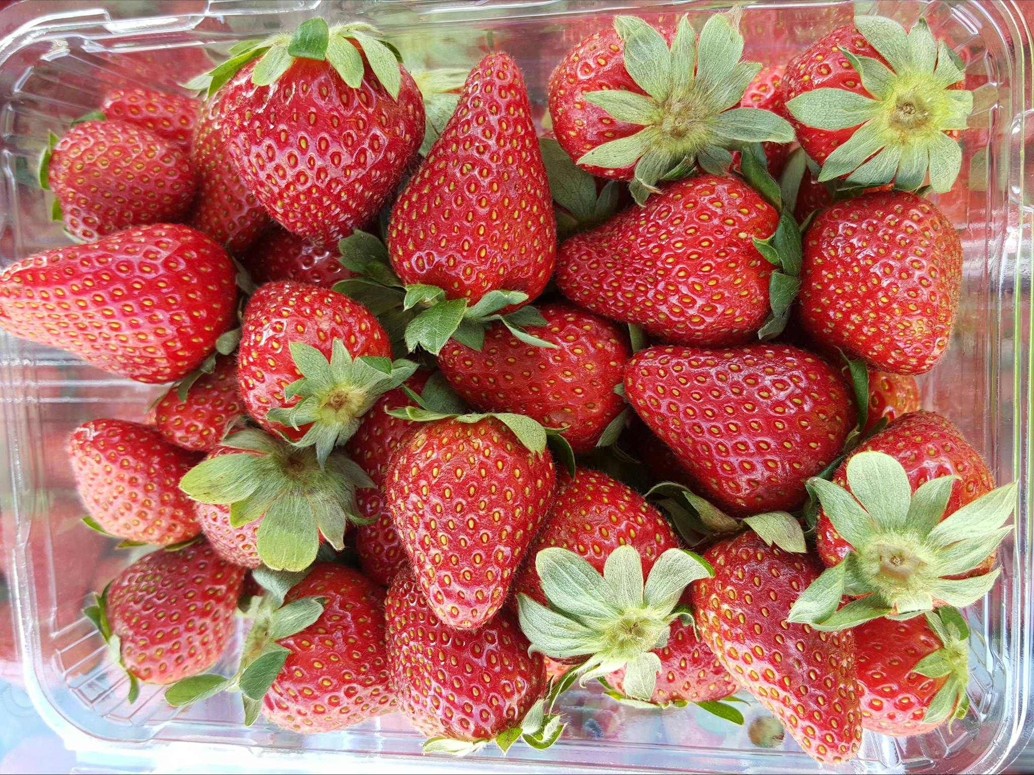 freshly picked strawberries