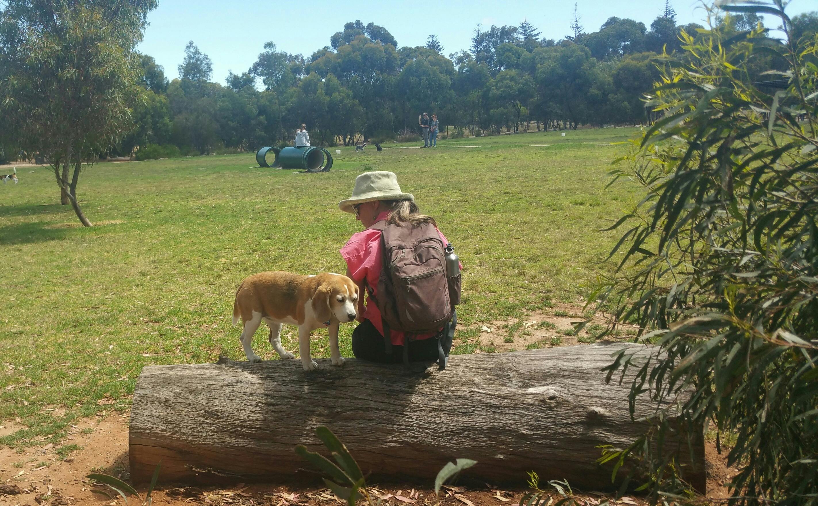 Bragg Park / Ngampa Yarta (Park 5)