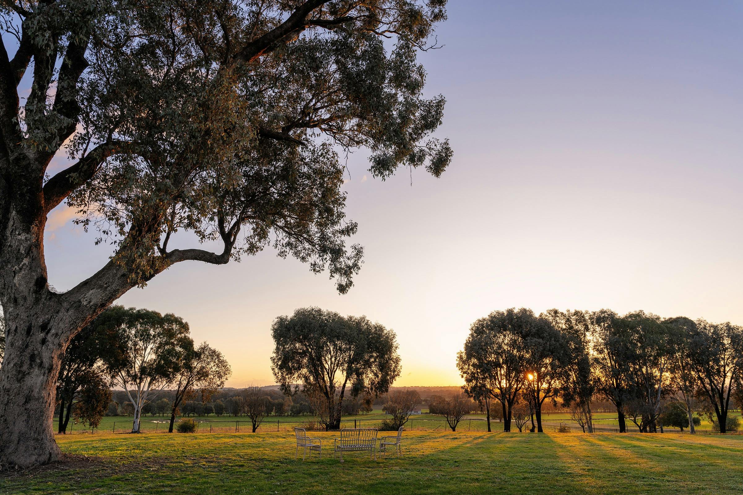 나무와 풍경 사이로 보이는 일몰