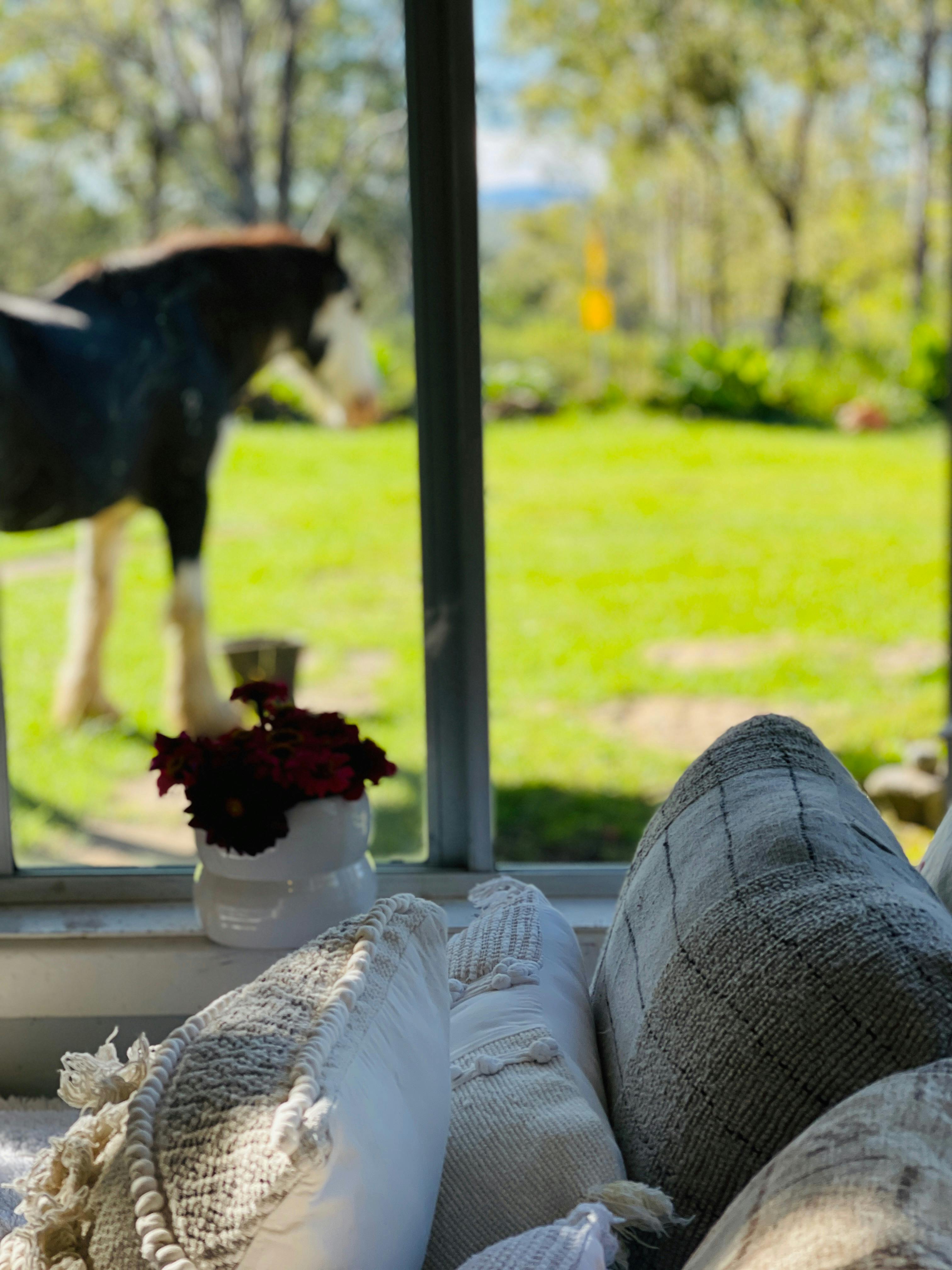 Watch the horses from your bed at The Ranch on Clarence