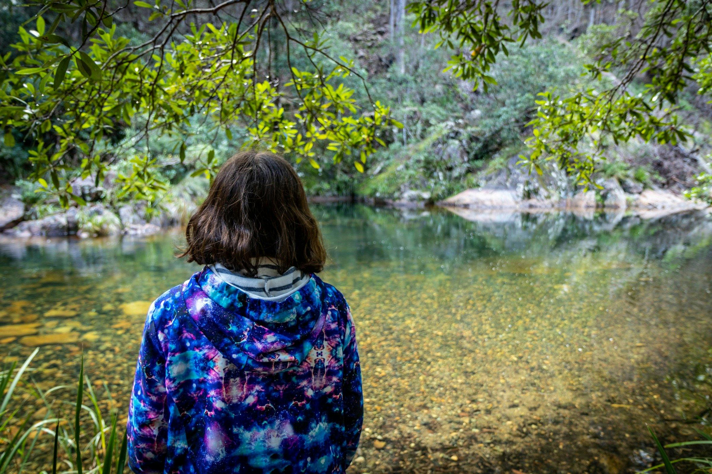 Mount Boss State Forest