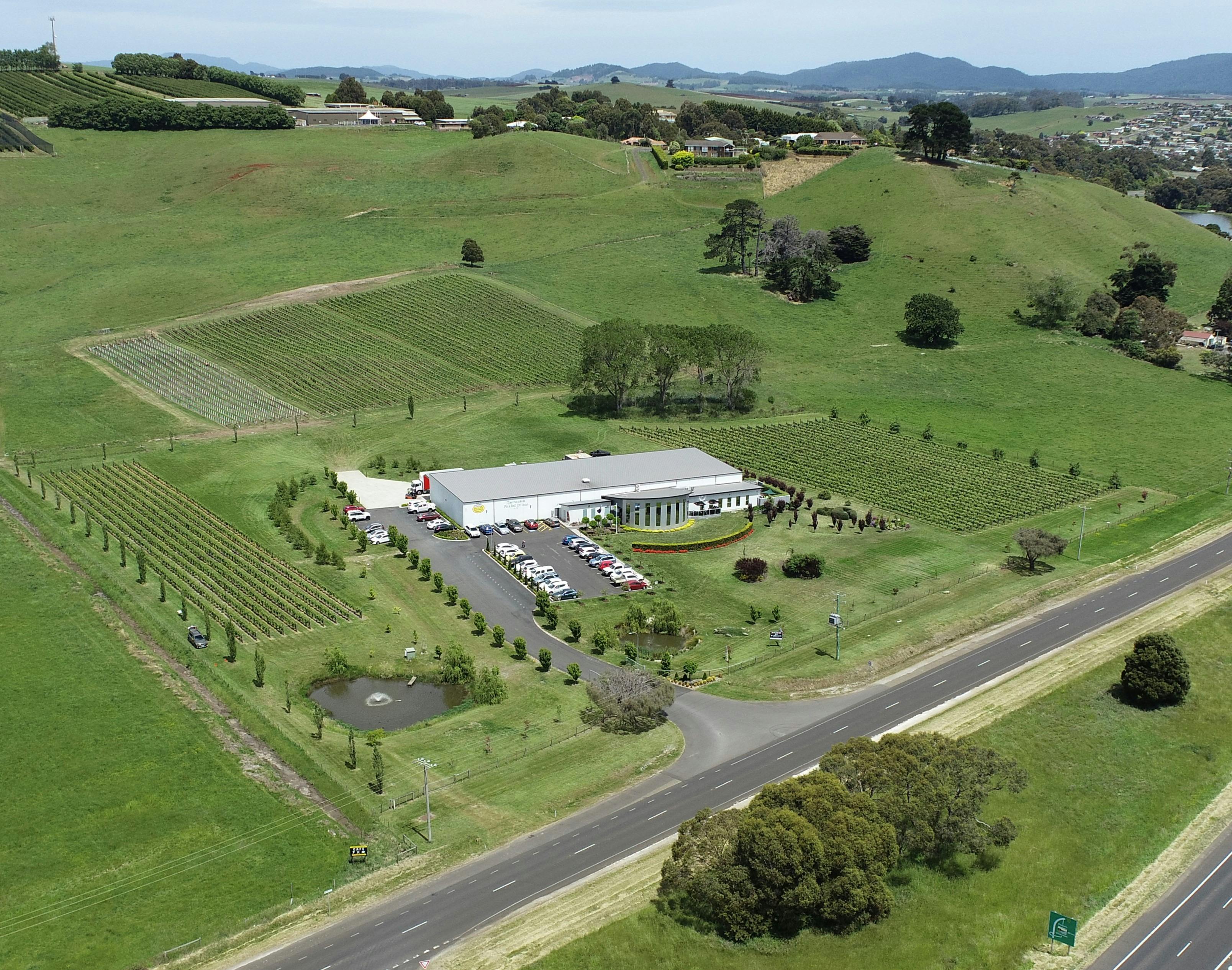 The location of Tasmanian Pickled Onions facility, includes a cafe, cellar door and vineyard