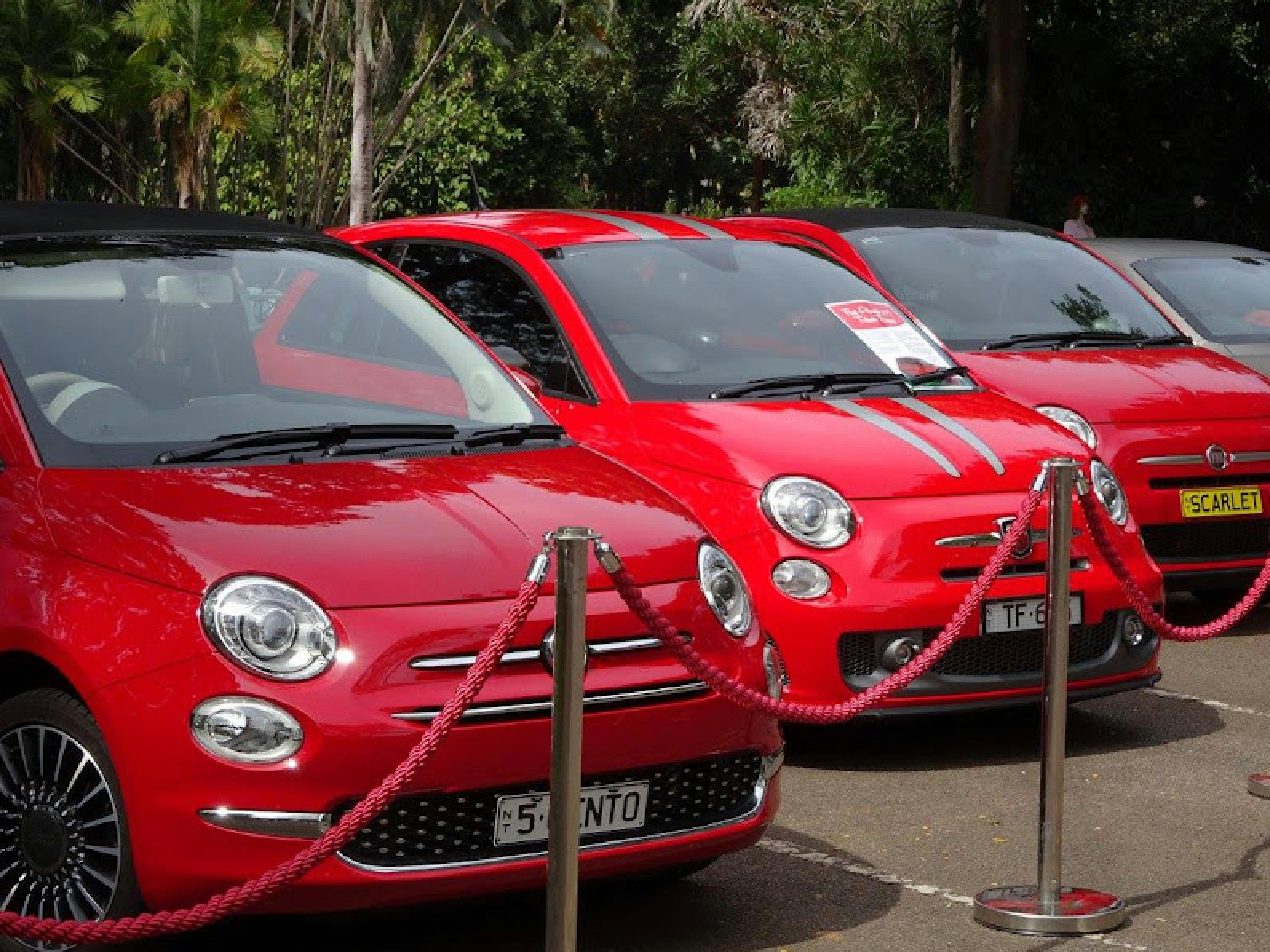 Italian Festival Darwin