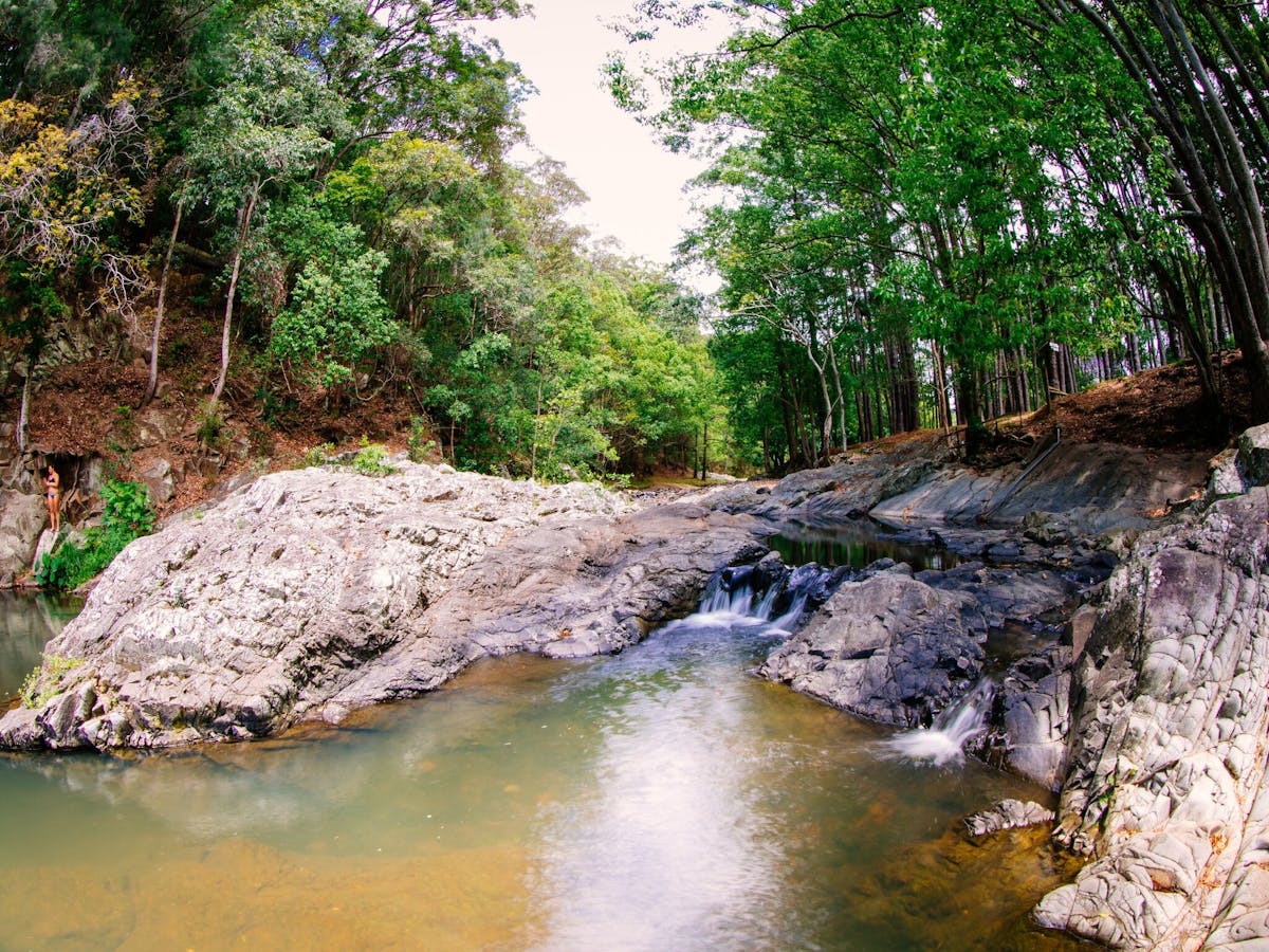 Currumbin Valley