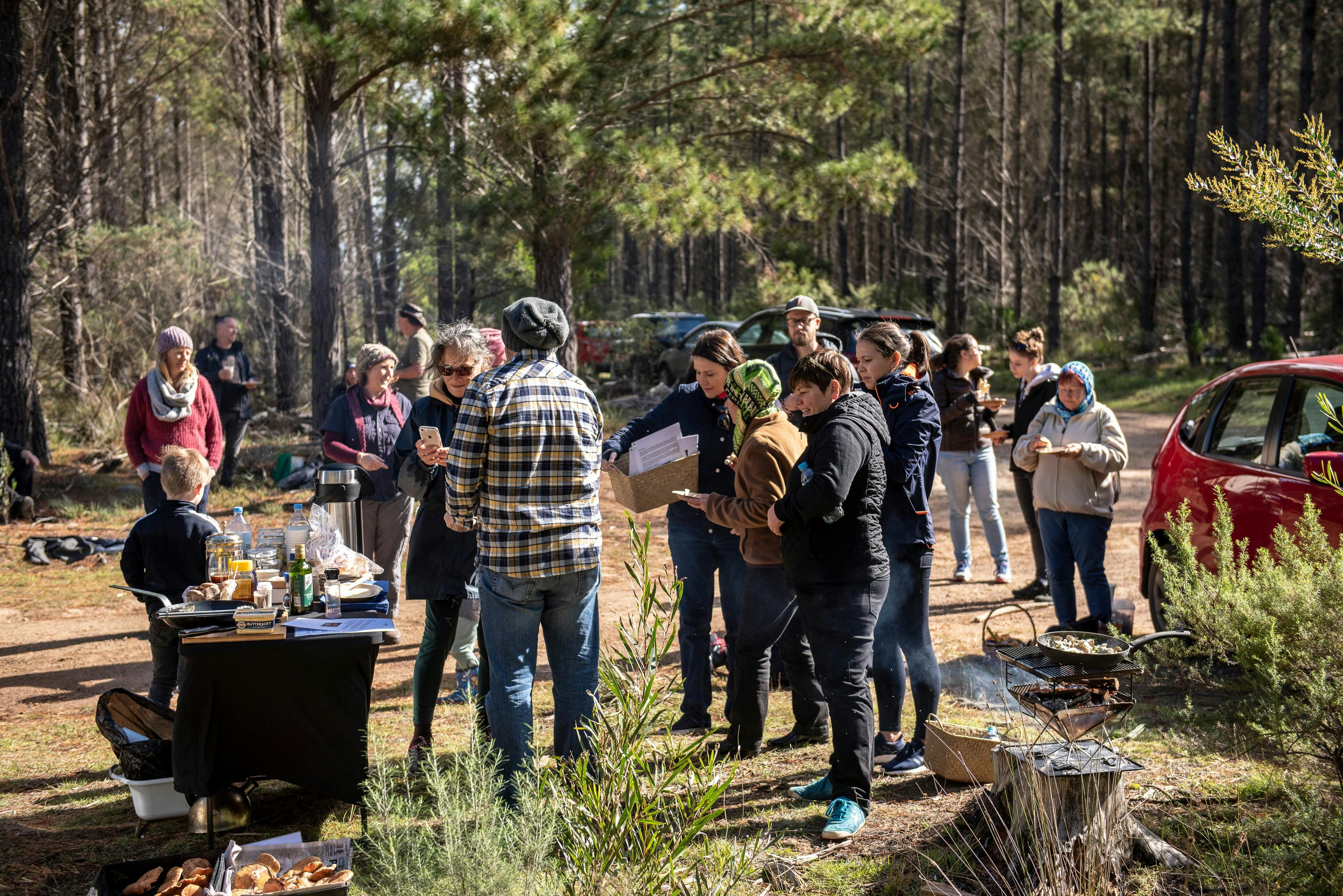 Fungi Forage Vine - Autumn Mushroom Foraging Tours
