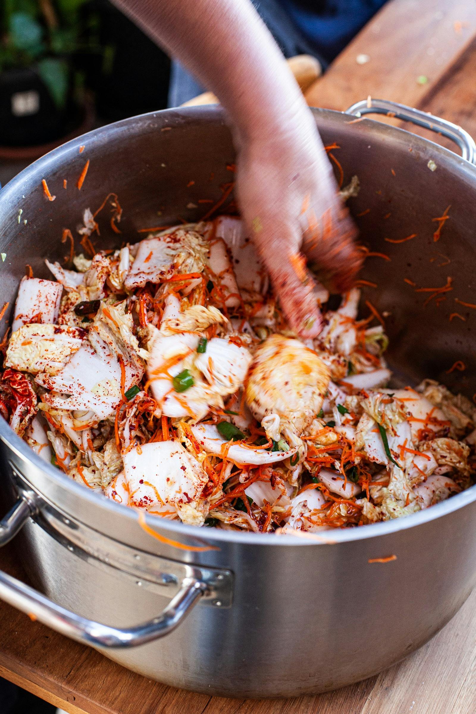 Fermenting, Drying and Preserving for Beginners