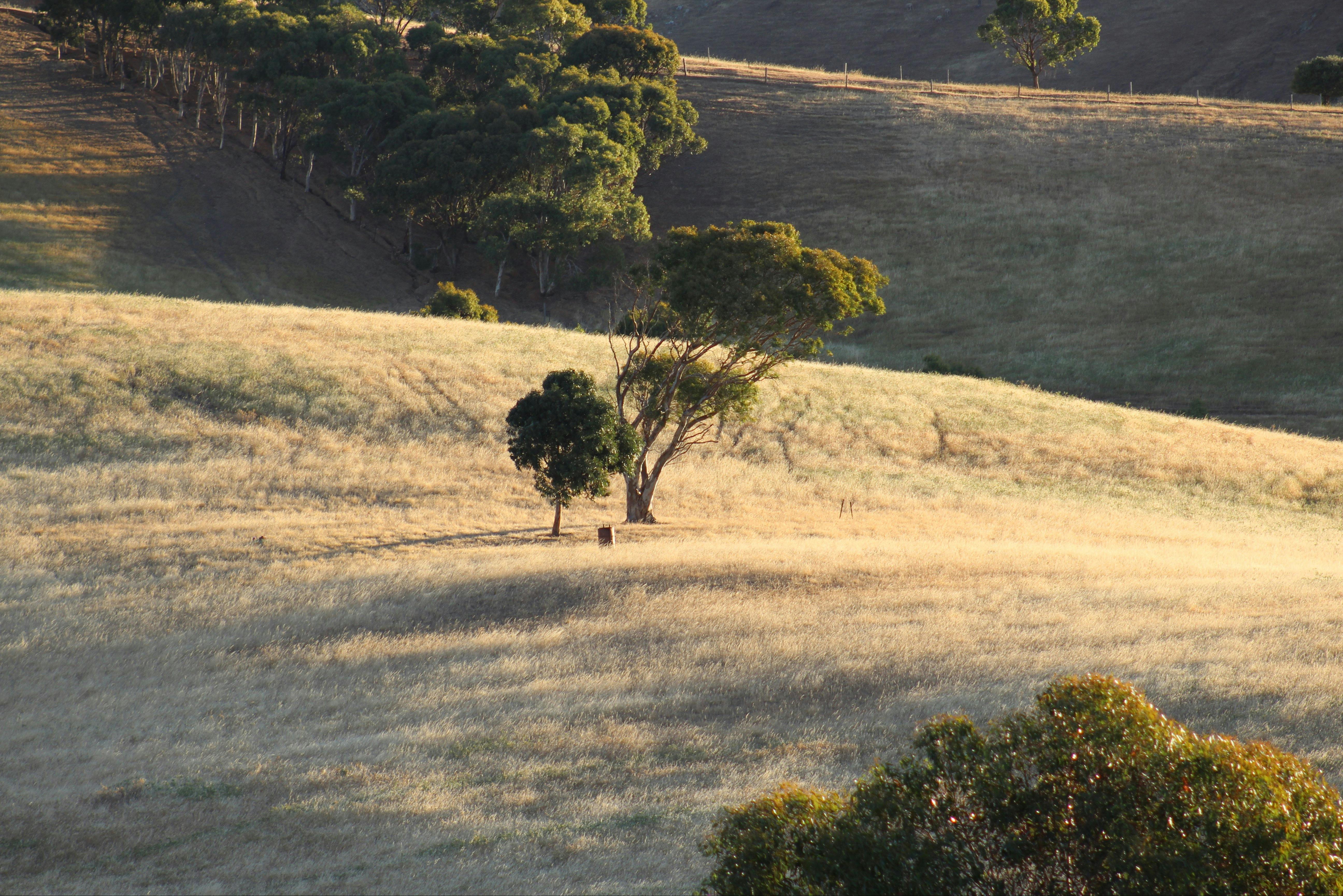 Hills that back onto our property the view is always better in winter