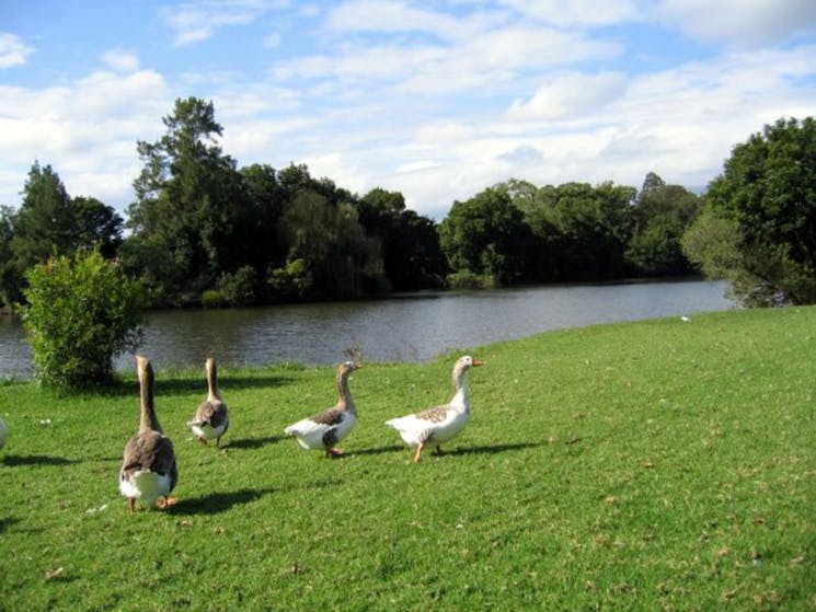 Williams River Holiday Park residents