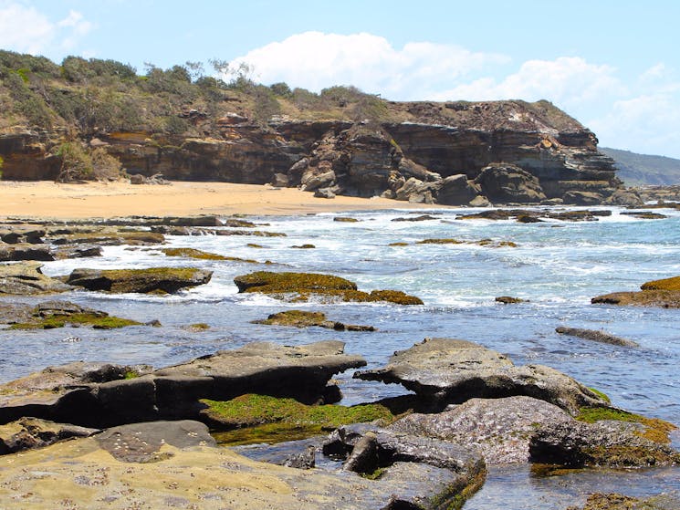 View back to Shelley Headland: the campground is just over that rise.