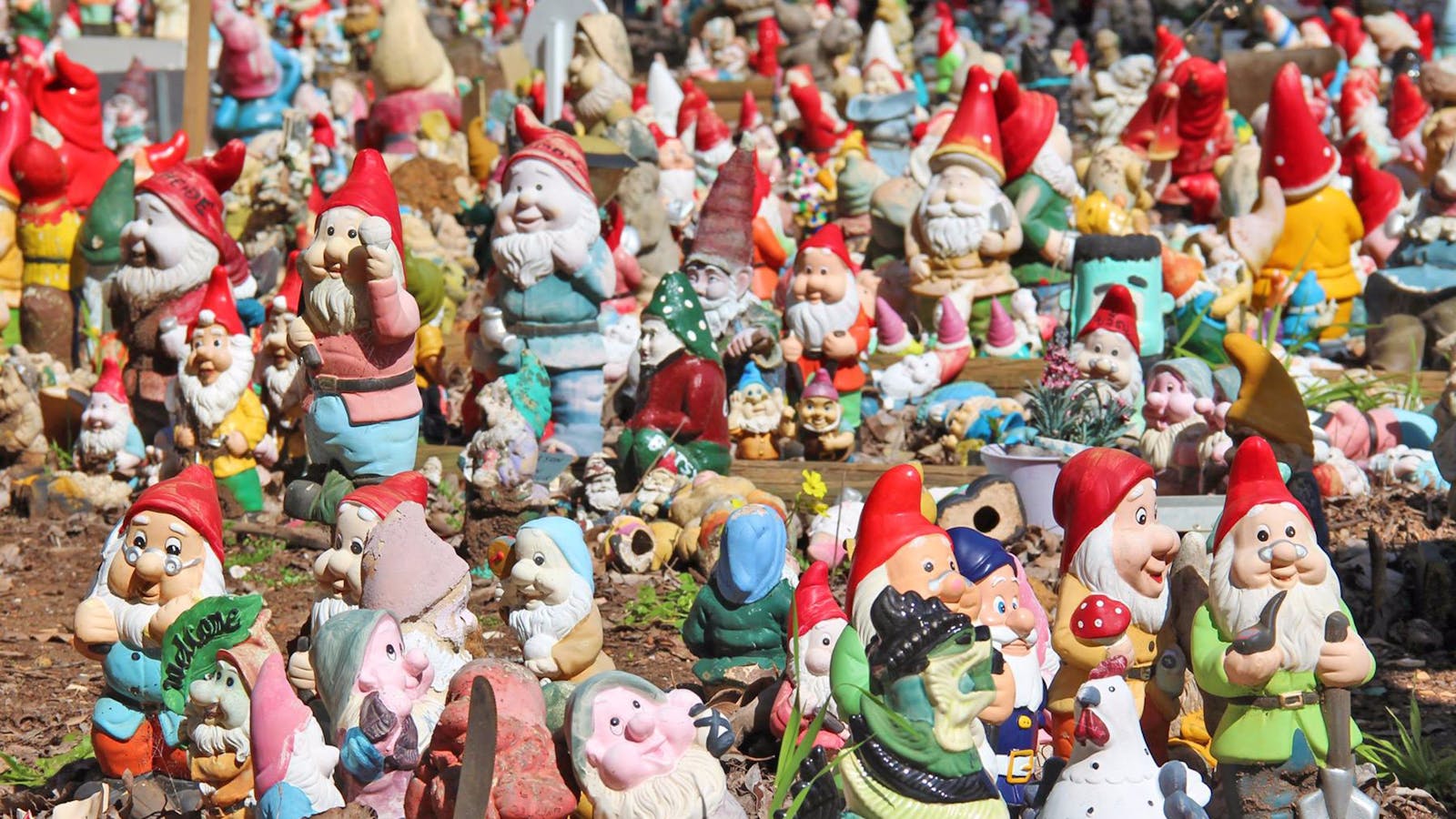 Gnomesville