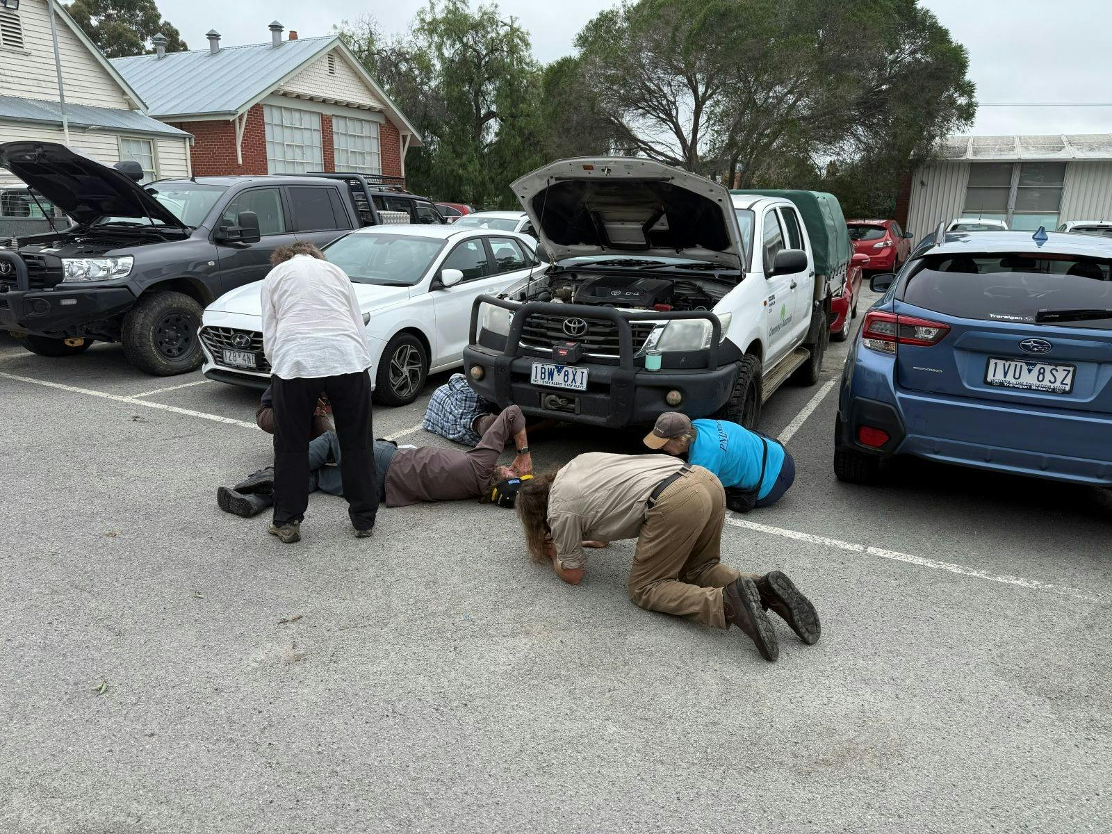 Bairns - vehicle insp
