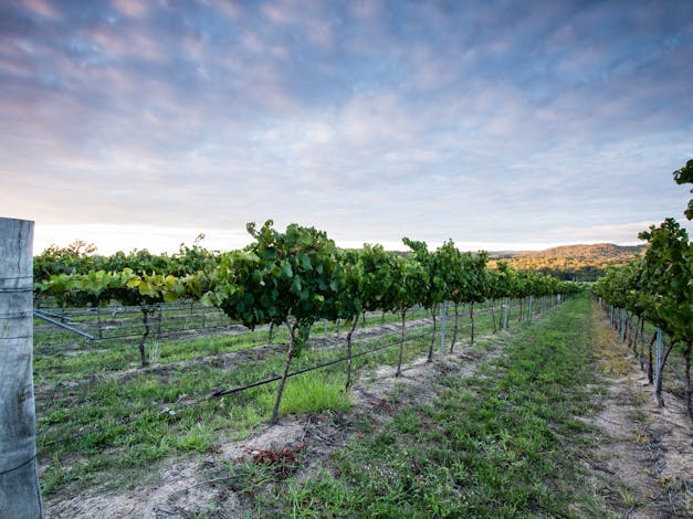 Nature and Foodies Trail