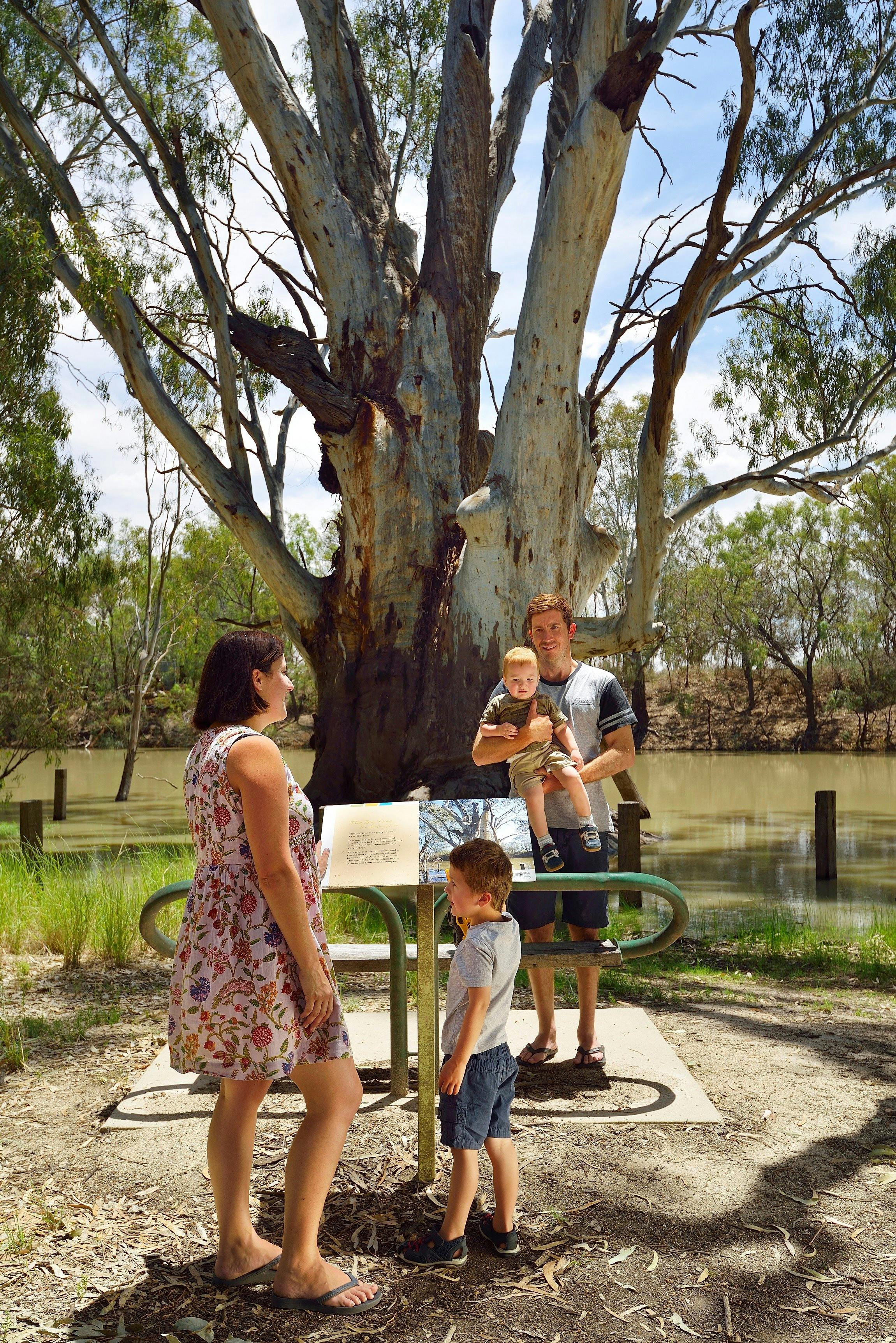 family under big tree