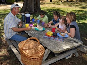 Naracoorte picnic