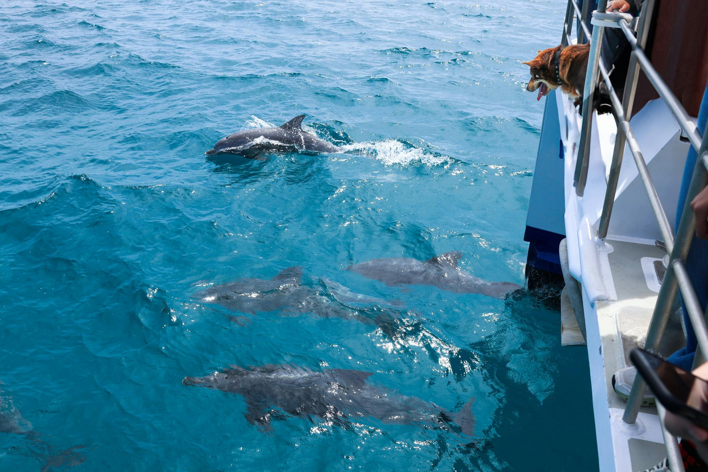 Eden Wildlife  Adventure