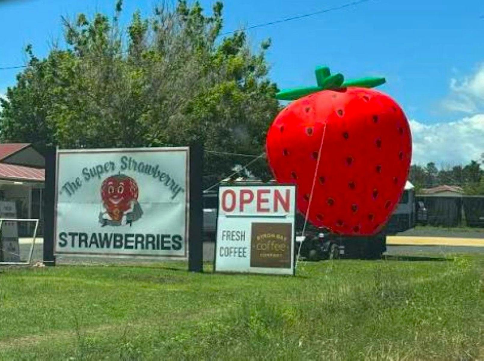 Strawberry