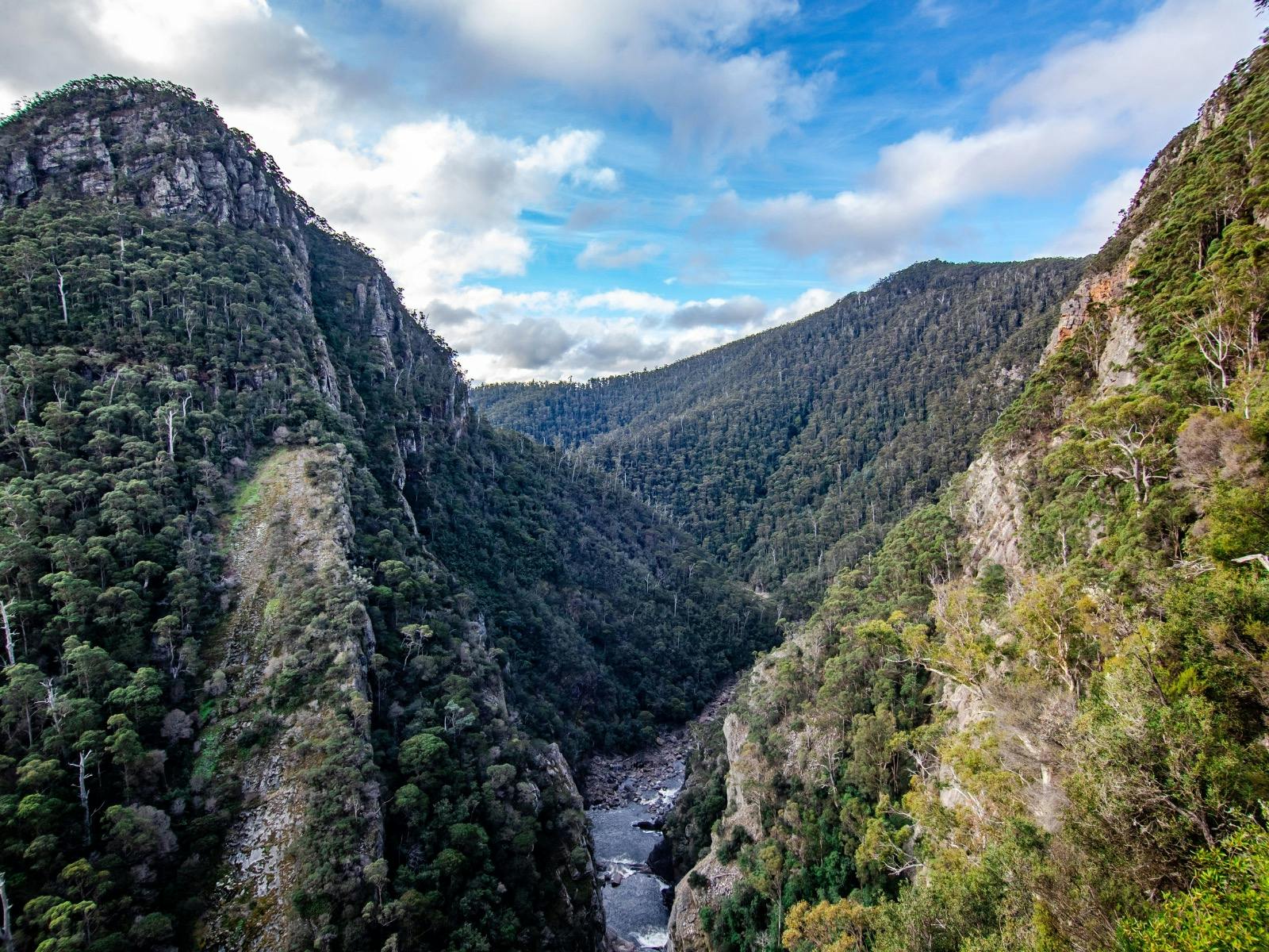 Leven Canyon Reserve, Nietta