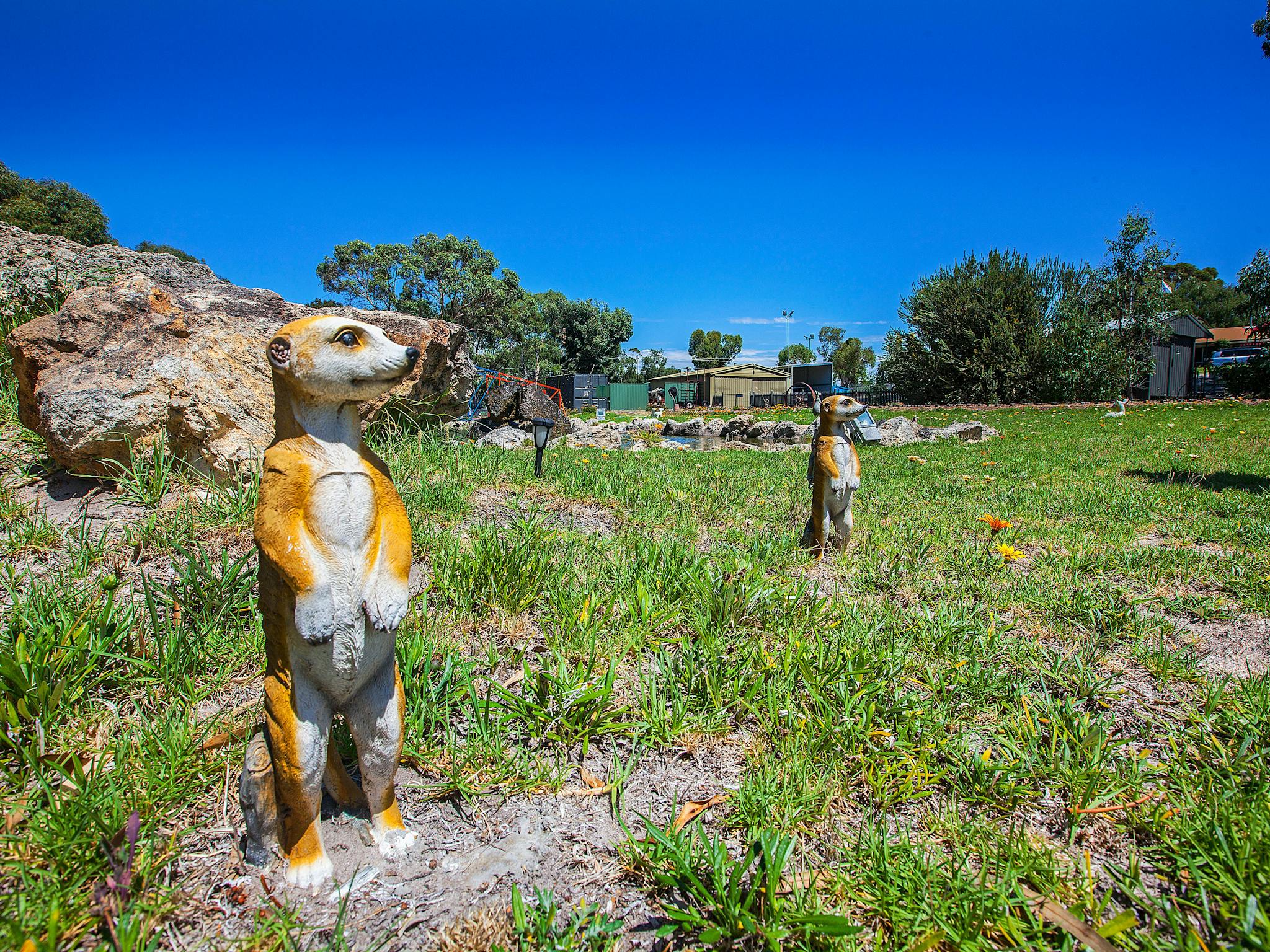 Ceremic Meercats Tiny Train Park