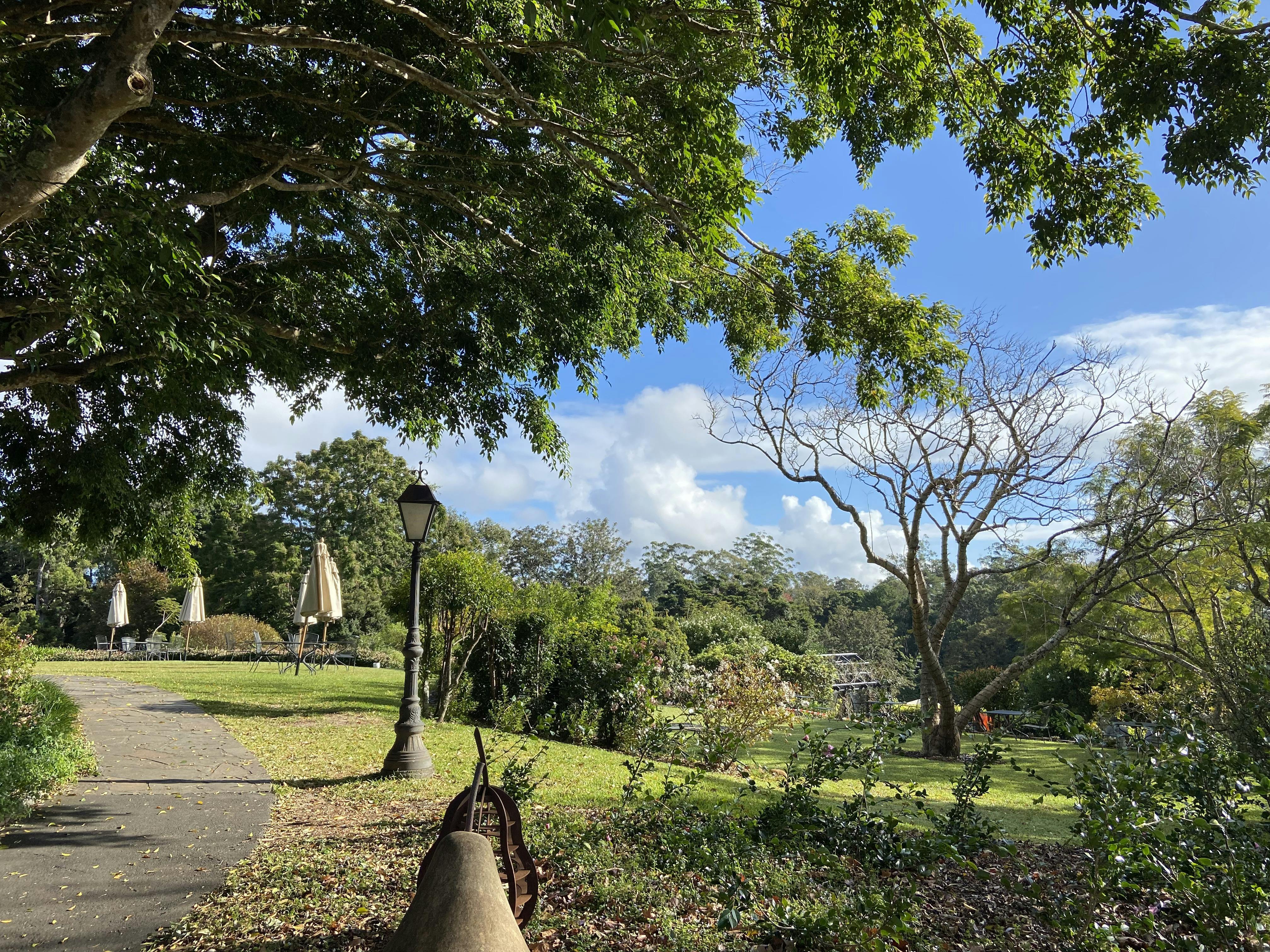 Lush countryside garden