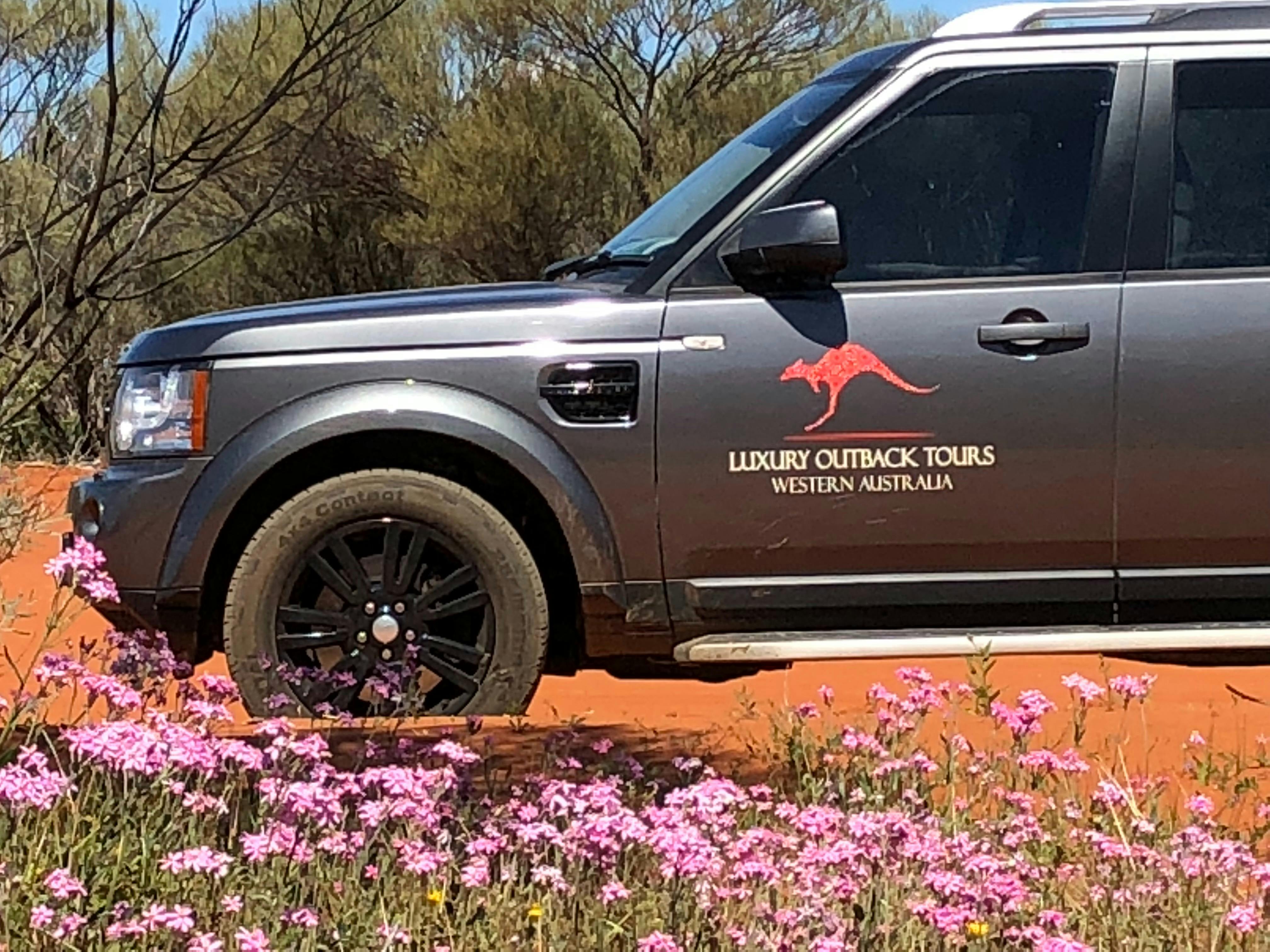 Northern Outback Wildflower 7-Day Tour