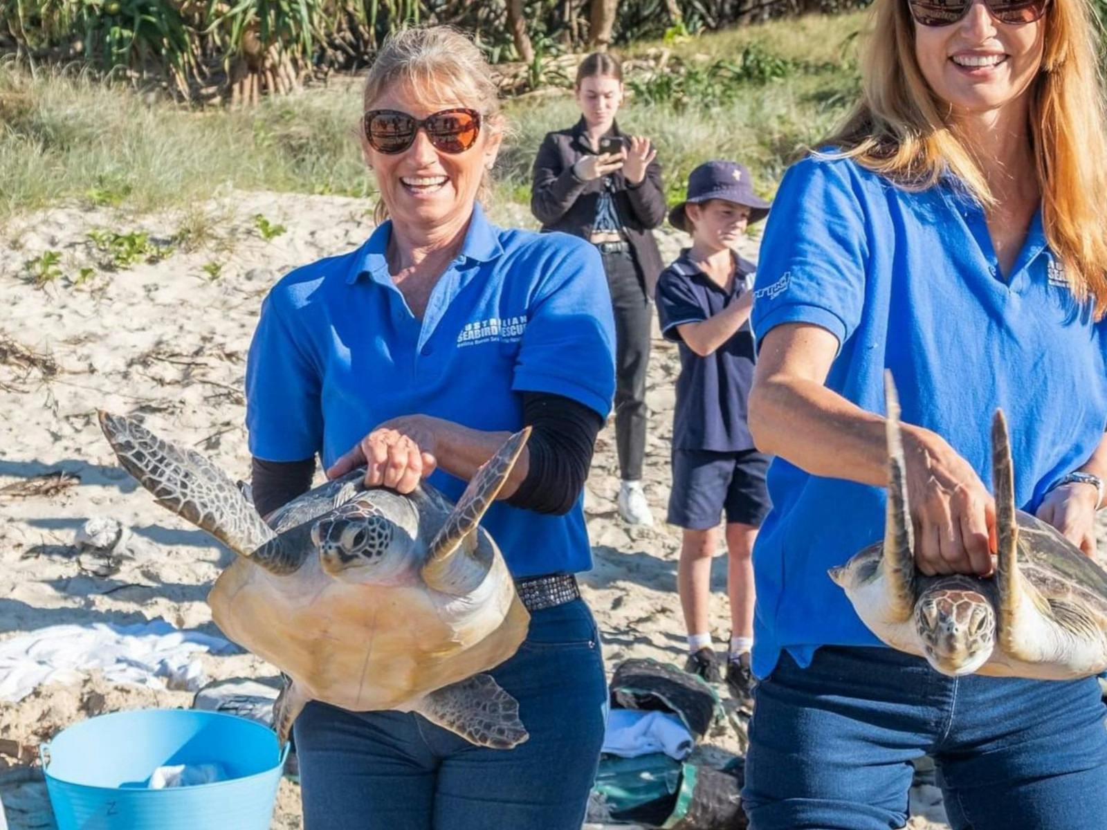 two sea turtles being carried to water to be released back to the ocean