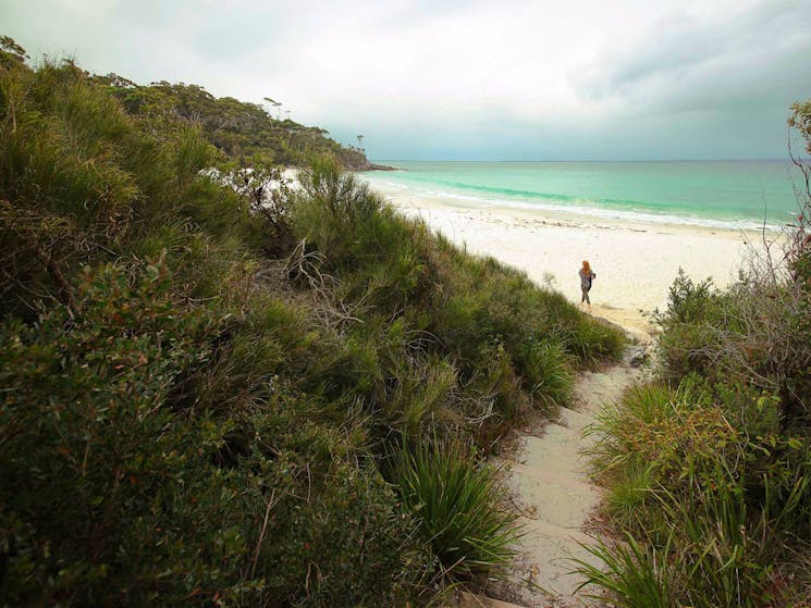 White Sands walk, Jervis Bay National Park. Photo: Andy Richards.