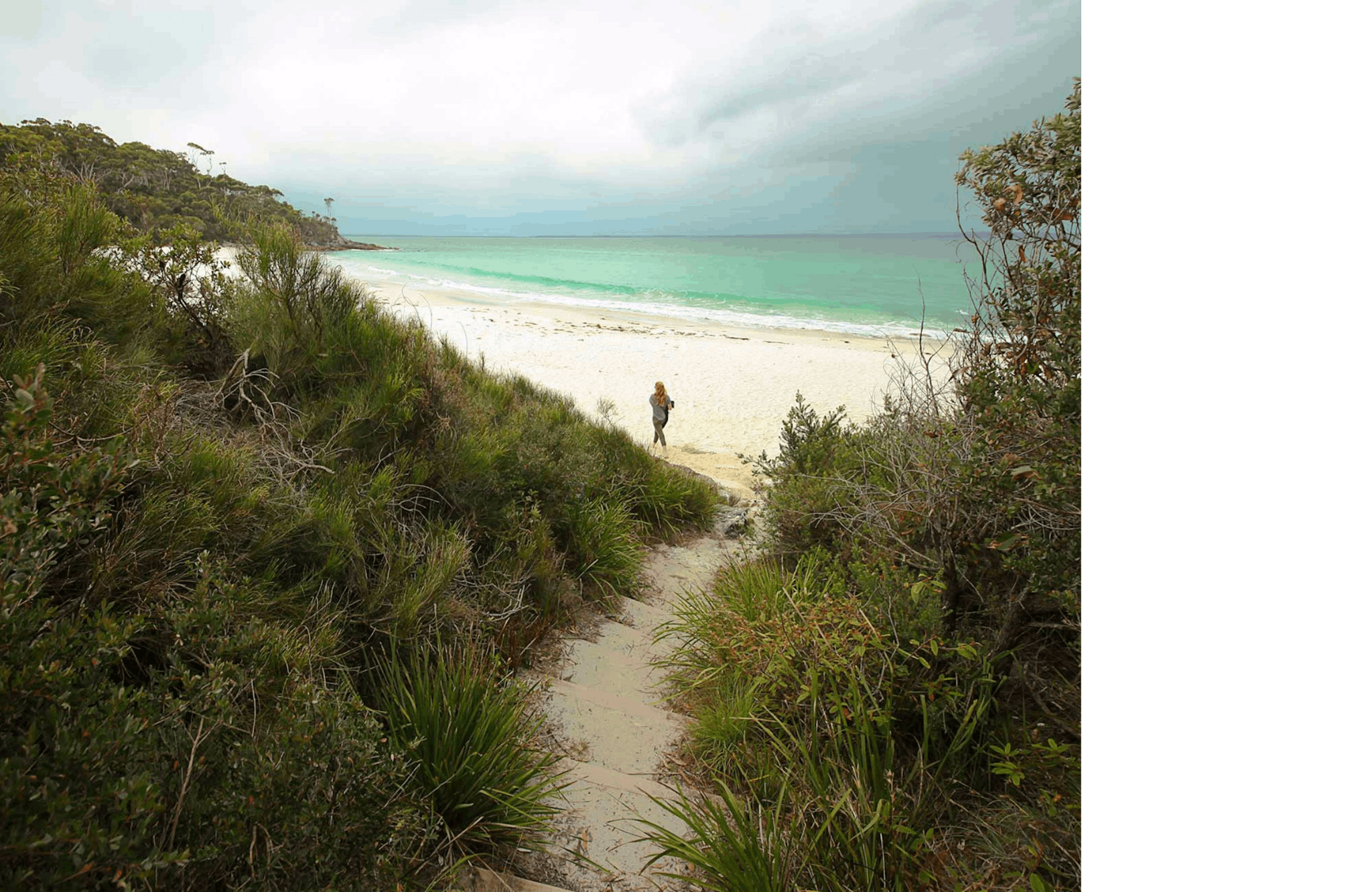 Greenfield Beach Jervis Bay