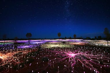 Field of Light Star Pass