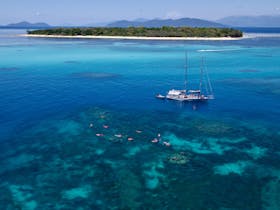 Snorkelling on Ocean Free's exclusive reef site 1 km Off Green Island