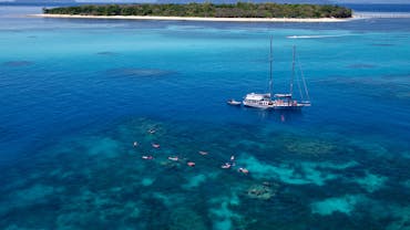 Snorkelling on Ocean Free's exclusive reef site 1 km Off Green Island Snorkelling on Ocean Free's exclusive reef site 1 km Off Green Island