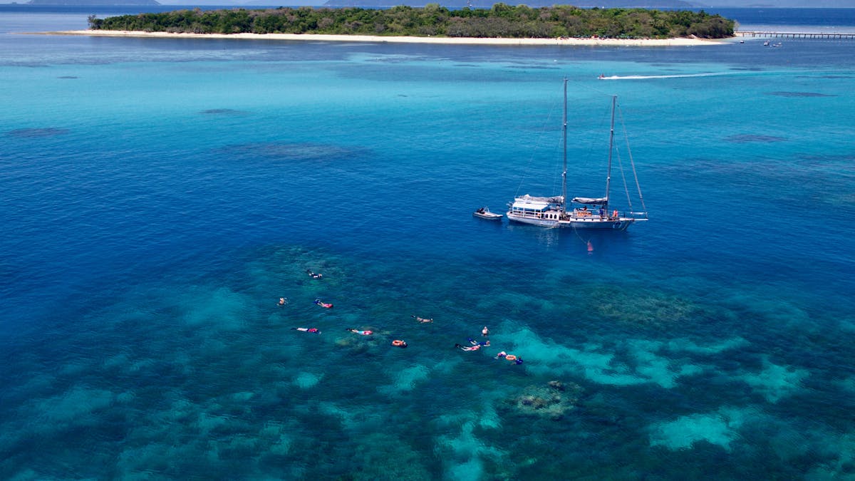 Snorkelling on Ocean Free's exclusive reef site 1 km Off Green Island