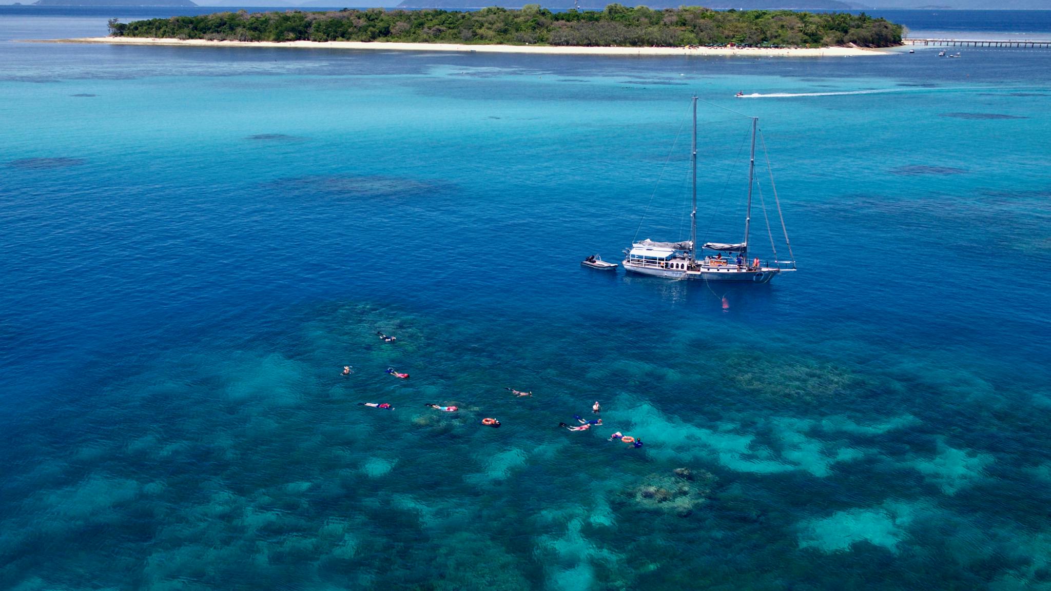 Snorkelling on Ocean Free's exclusive reef site 1 km Off Green Island Snorkelling on Ocean Free's exclusive reef site 1 km Off Green Island