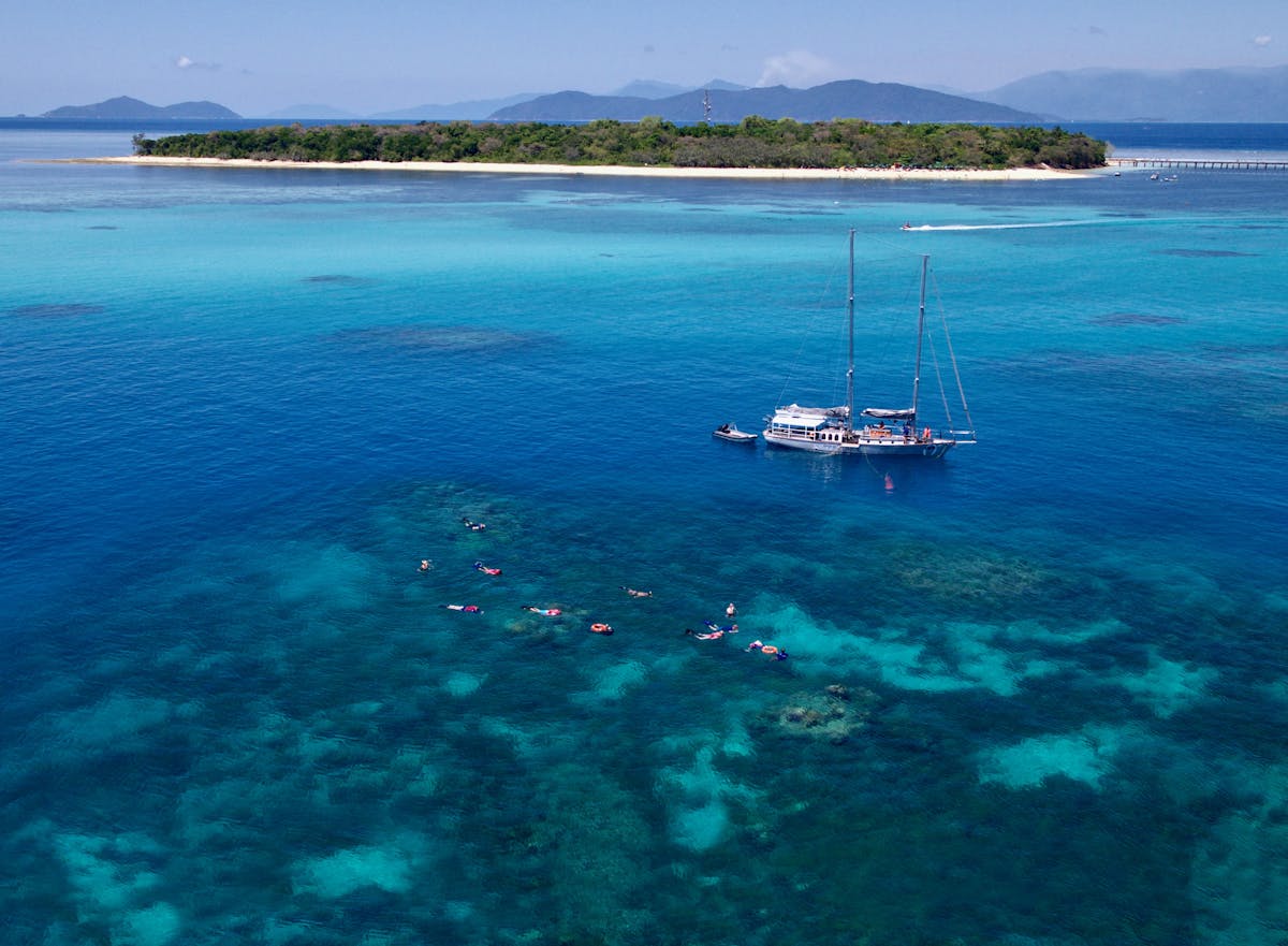 Snorkelling on Ocean Free's exclusive reef site 1 km Off Green Island