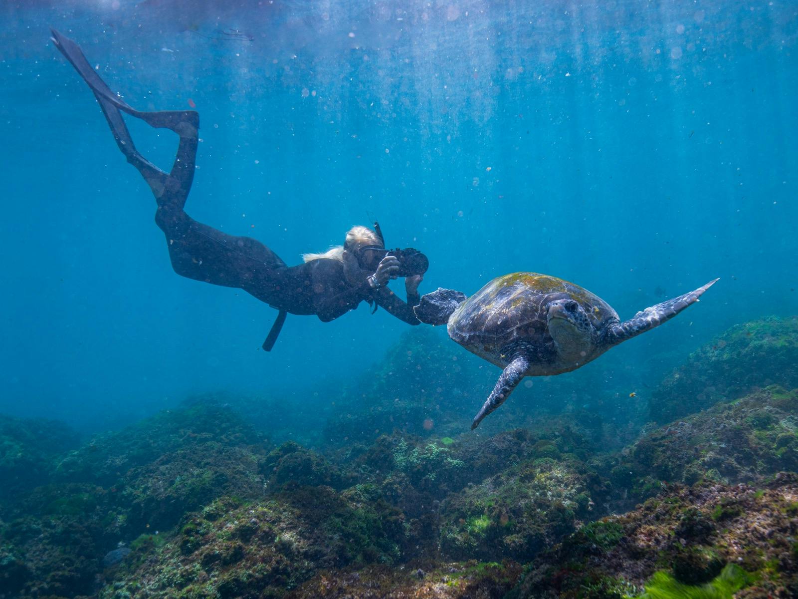 Getting the shot of the shot!