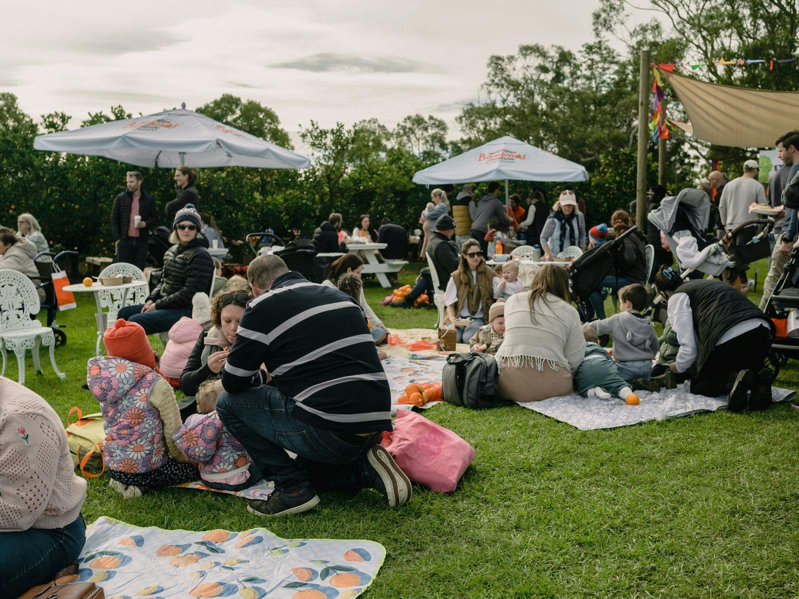 バンビーノスでピクニックを楽しむグループ