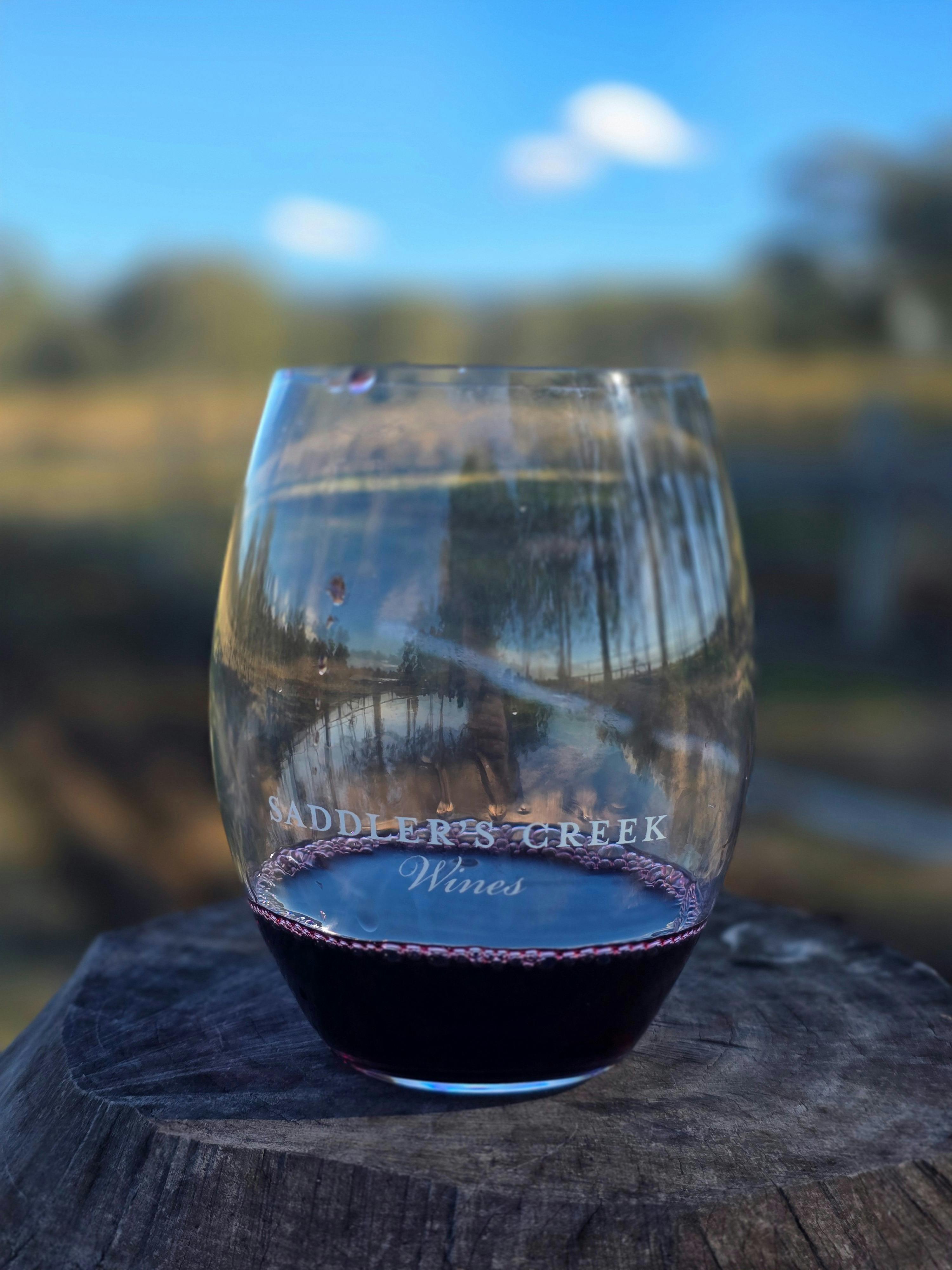Glass of red wine overlooking a sunlit Hunter Valley vineyard.