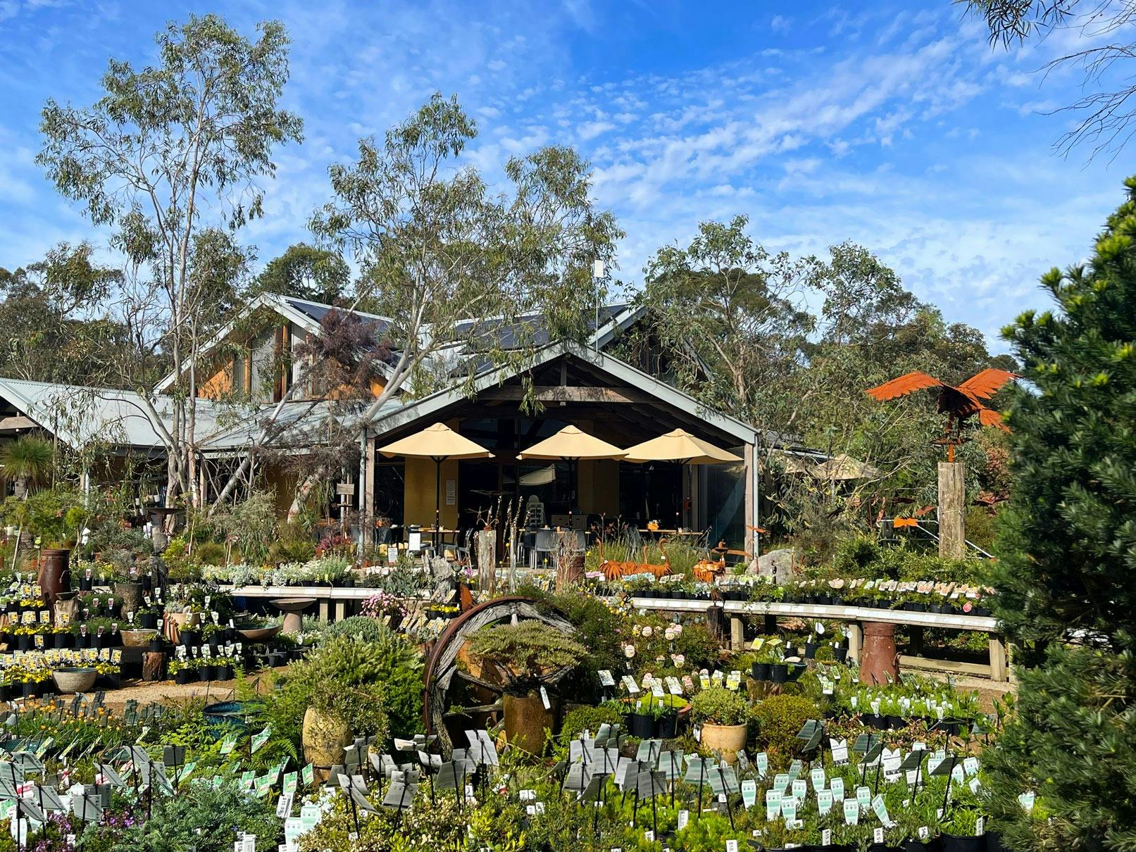 Kuranga Native Nursery Mothers Day High Tea